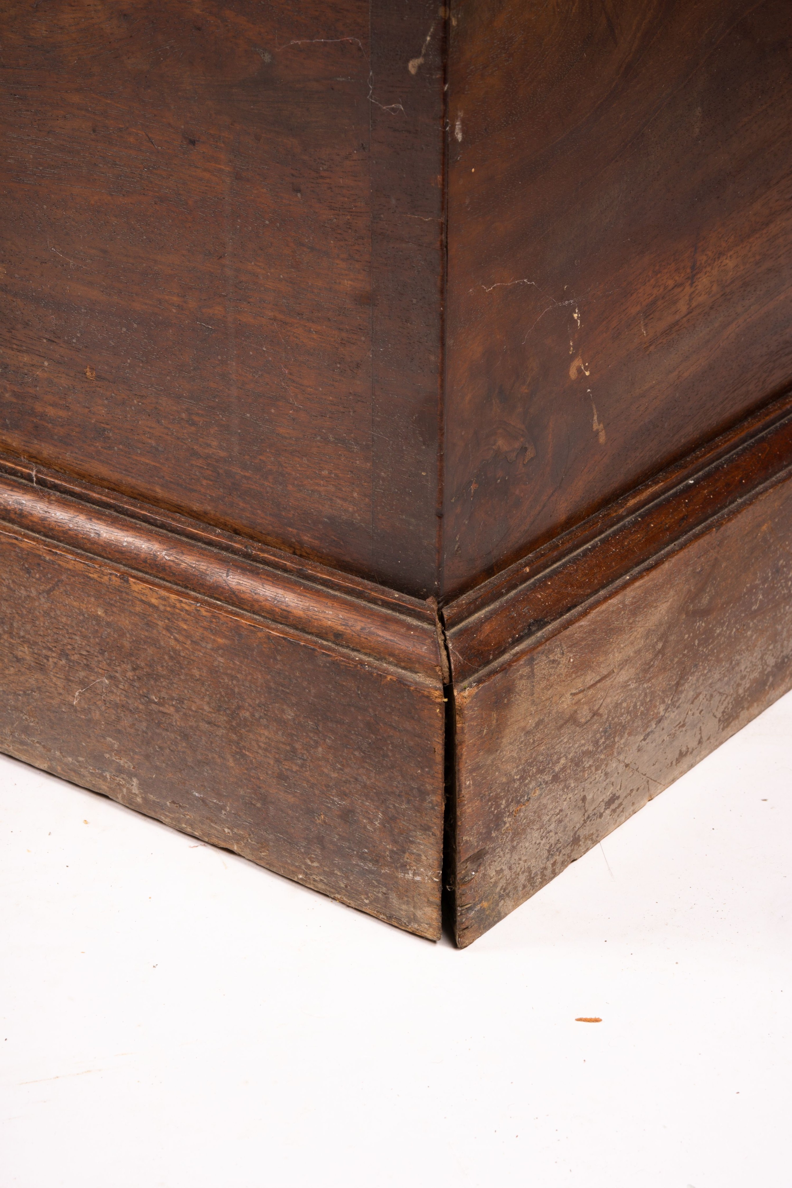 A large 19th century mahogany trunk with brass side handles, length 125cm, width 63cm, height 62cm